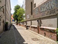 a brick city side walk between buildings and trees in the morning sun with graffiti on it