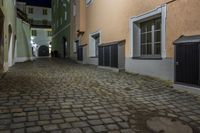 Cobblestone Alleyway in Suburban Night