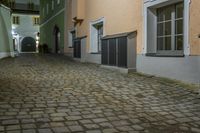 Cobblestone Alleyway in Suburban Night