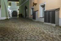 Cobblestone Alleyway in Suburban Night 003