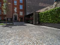 a green shrub near a gray building and a brick walkway with a bicycle rack in it