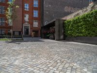 a green shrub near a gray building and a brick walkway with a bicycle rack in it