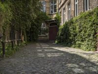 the cobblestone path with green bushes and greenery is between buildings and bushes