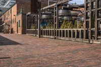 the cobblestone pavement is empty with the clock tower in the background, a woman walks past and shops on the right side