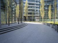 Cobblestone Road and Asphalt Building