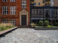 several plants sit in decorative concrete planters along the sidewalk of a building that is very modern