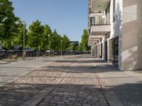 brick walk way outside a building with trees on either side and buildings in the background