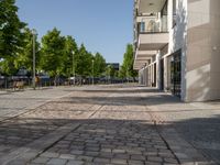 brick walk way outside a building with trees on either side and buildings in the background