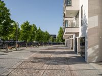 brick walk way outside a building with trees on either side and buildings in the background