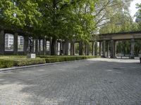 Cobblestone Road in Berlin: Embracing Spring and Nature