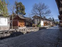 a quiet stone street lined with old chinese buildings and green trees in the background of blue skies