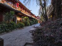 a brick sidewalk with stone pathway between buildings and trees in a chinese city area with red lanterns hanging on the buildings