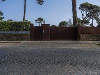 Cobblestone Road in Porto, Europe: Residential Charm