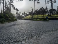 Cobblestone Road in Porto, Portugal