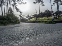 Cobblestone Road in Porto, Portugal