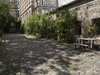 Cobblestone Road in Residential Area with Grass and Trees 001