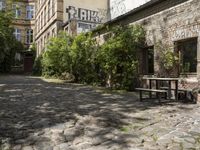 Cobblestone Road in Residential Area with Grass and Trees 002