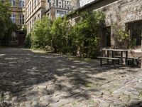 Cobblestone Road in Residential Area with Grass and Trees