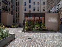 several plants sit in decorative concrete planters along the sidewalk of a building that is very modern