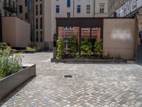 several plants sit in decorative concrete planters along the sidewalk of a building that is very modern