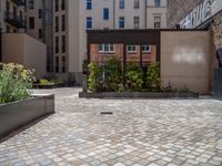 several plants sit in decorative concrete planters along the sidewalk of a building that is very modern