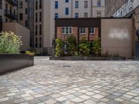 several plants sit in decorative concrete planters along the sidewalk of a building that is very modern