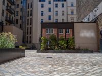 several plants sit in decorative concrete planters along the sidewalk of a building that is very modern