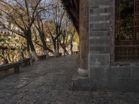 an empty bench sits on a cobblestone street next to some trees and a hill