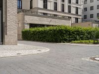 a sidewalk with cobblestone walkway next to a building and trees and bushes and a bench