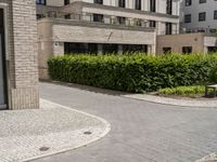 a sidewalk with cobblestone walkway next to a building and trees and bushes and a bench