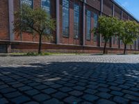 Cobblestone Roads and Classic Architecture in Berlin