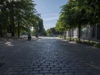 the city's empty sidewalk and trees on both sides of the street are dotted by cobblestone tiles