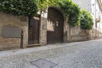 cobblestone street with an entrance, planter and doorway in an old town