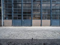 a fire hydrant sits on a cobblestone street near doors of a building