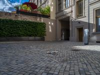 an empty parking lot with plants in the ground and on the side of the building, there is an enclosed area and windows