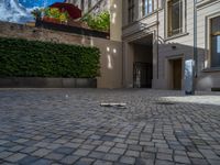 an empty parking lot with plants in the ground and on the side of the building, there is an enclosed area and windows