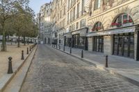 the street is made of cobblestone and has many bushes growing on the sides