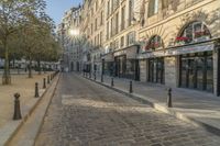 the street is made of cobblestone and has many bushes growing on the sides