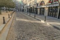 the street is made of cobblestone and has many bushes growing on the sides