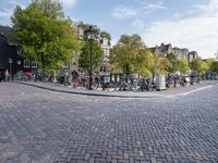 an outdoor bike rack in the middle of a brick road next to trees and buildings