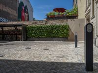 a green shrub near a gray building and a brick walkway with a bicycle rack in it