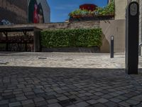 a green shrub near a gray building and a brick walkway with a bicycle rack in it