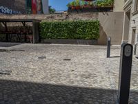 a green shrub near a gray building and a brick walkway with a bicycle rack in it