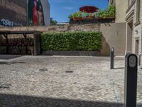 a green shrub near a gray building and a brick walkway with a bicycle rack in it