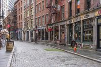 Gloomy New York's Cobblestone Streets