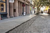 the cobblestone streets of new york are lined with historic stone buildings in new york city