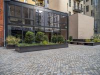 an empty parking lot with plants in the ground and on the side of the building, there is an enclosed area and windows