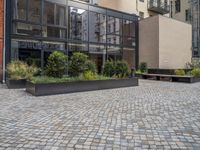 an empty parking lot with plants in the ground and on the side of the building, there is an enclosed area and windows