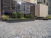 an empty parking lot with plants in the ground and on the side of the building, there is an enclosed area and windows