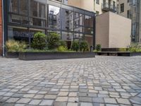 an empty parking lot with plants in the ground and on the side of the building, there is an enclosed area and windows